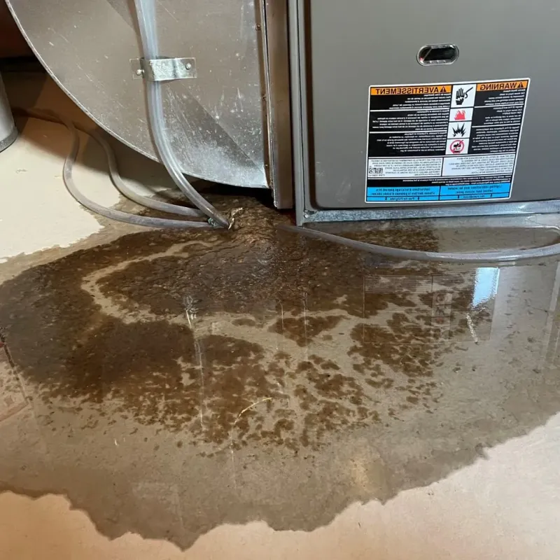 Pipe Burst and Leak Restoration in Coffee County, GA