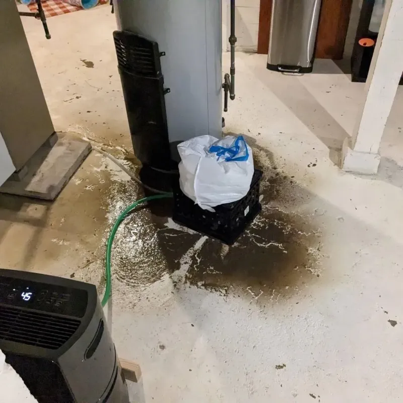 Sewage Backup Cleanup Service in Coffee County, GA